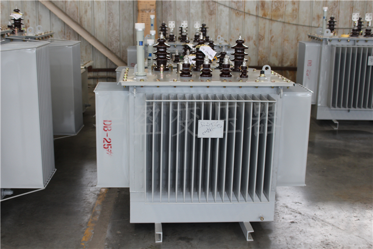 齐齐哈尔S20-800kVA/10kV/0.4kV变压器